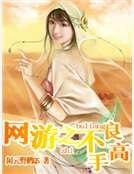 網遊之不良高手