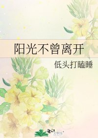 陽光不曾離開