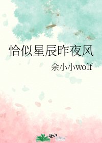 《恰似星辰昨夜風》
