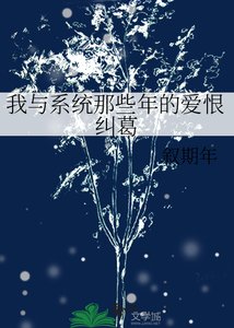 《我與系統那些年的愛恨糾葛》